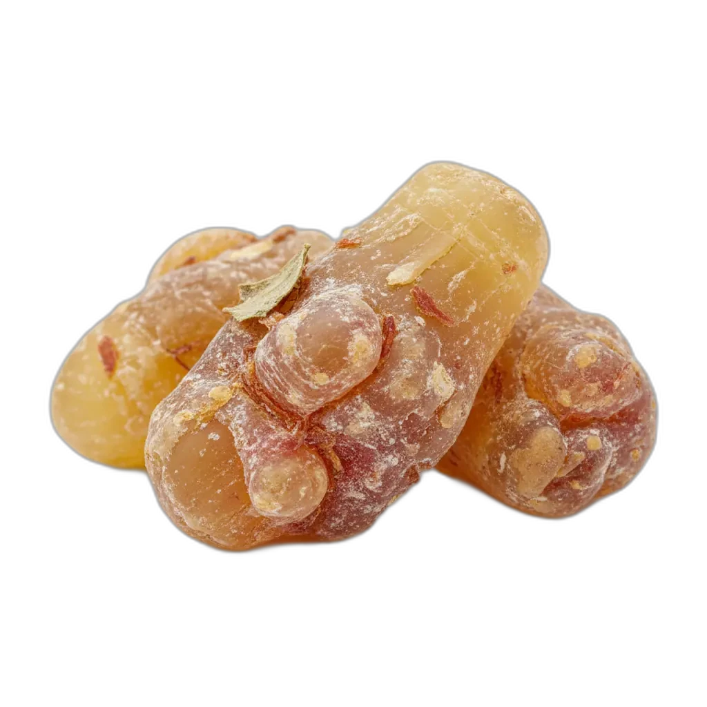 Boswellia serrata — természetes kivonat, amely hozzájárul a belső egyensúly fenntartásához.